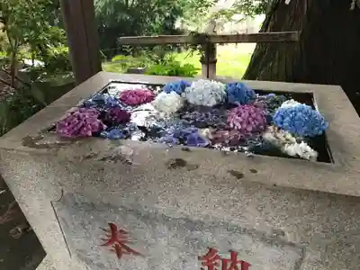 糀谷八幡宮(埼玉県)