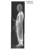 浄土宗 新光明寺別院の仏像