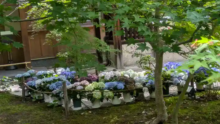 勝林寺(京都府)