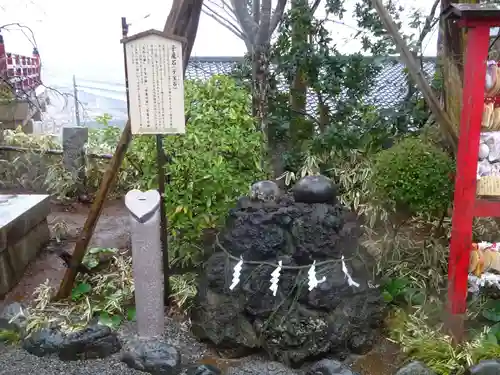 多摩川浅間神社の自然