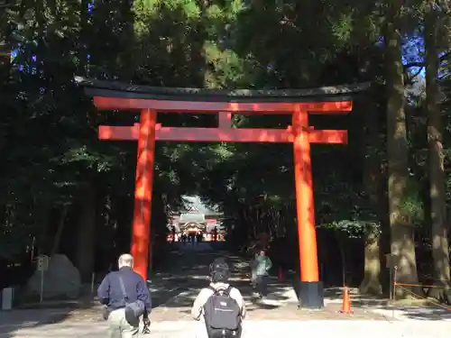 霧島神宮の鳥居