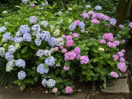 本土寺(千葉県)