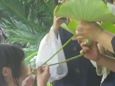 光明寺のお祭り