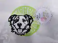 隨願寺の御朱印