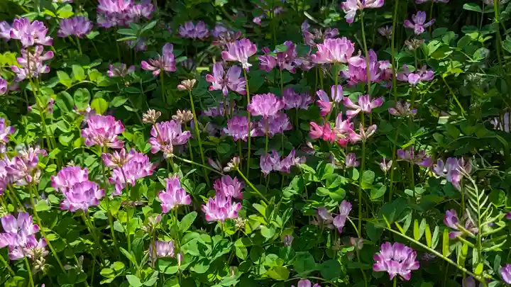 惠心院(京都府)