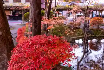 諏訪大社下社秋宮(長野県)