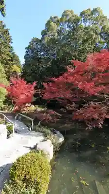 くろ谷 金戒光明寺(京都府)