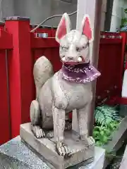 五福稲荷神社の狛犬