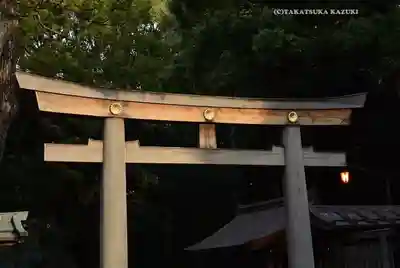 明治神宮(東京都)