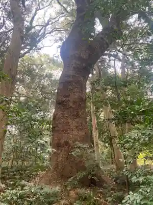 伊雜宮（皇大神宮別宮）(三重県)