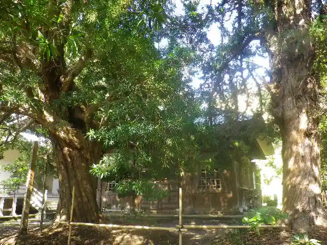浄光明寺の自然