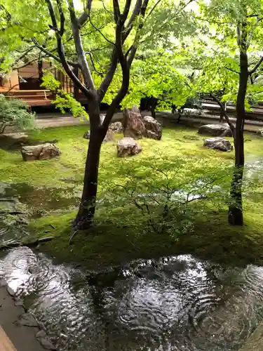 建仁寺（建仁禅寺）(京都府)