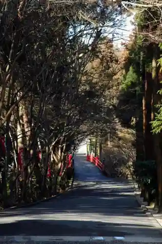 今熊野観音寺の自然