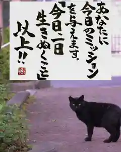 専念寺(大阪府)(2022年06月21日(火) 18時52分54秒投稿)