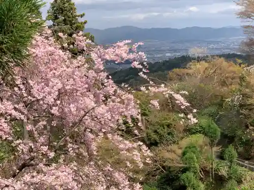 善峯寺の景色