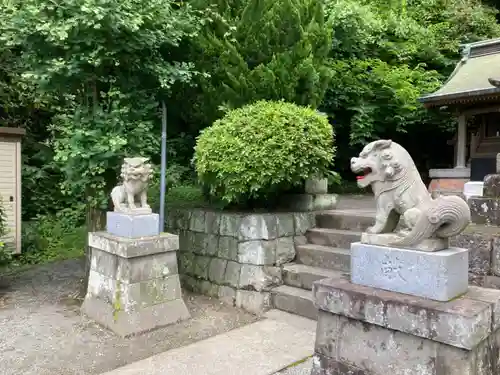 諏訪神社の狛犬