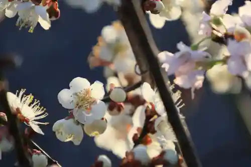 熊野福藏神社の手水舎