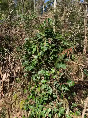 市井神社の狛犬