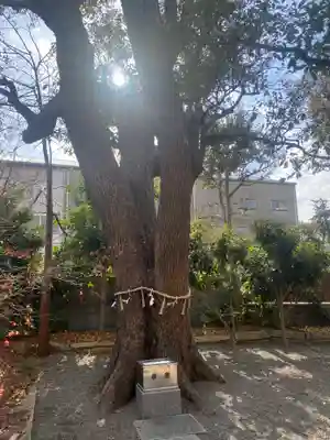 高龗神社・脇浜戎大社(大阪府)