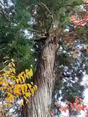 花巻神社(岩手県)