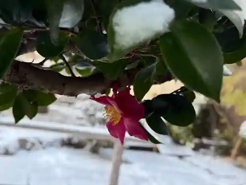 西方山極楽寺(岐阜県)