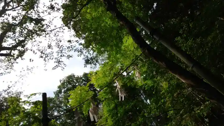 出雲大神宮(京都府)