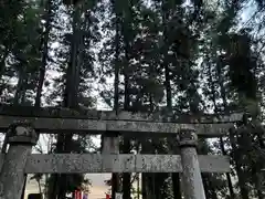 大宮温泉神社の鳥居