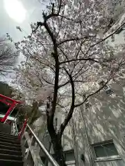 徳島眉山天神社(徳島県)