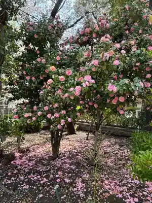 潮田神社(神奈川県)