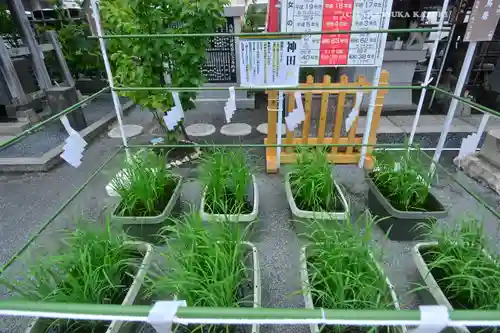亀戸浅間神社(東京都)