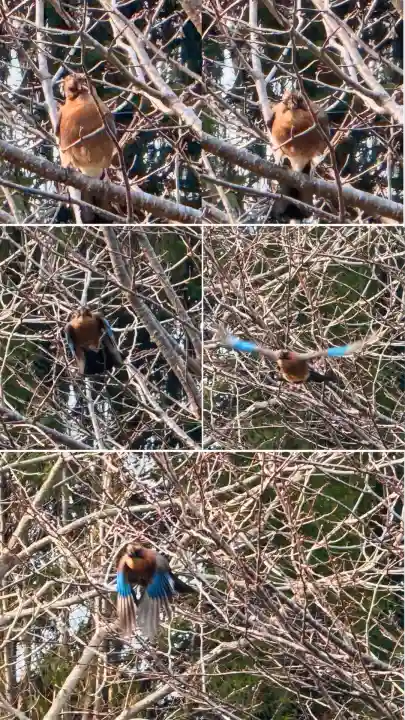 瀧澤龍神(北海道)