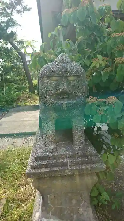 琴平神社の狛犬