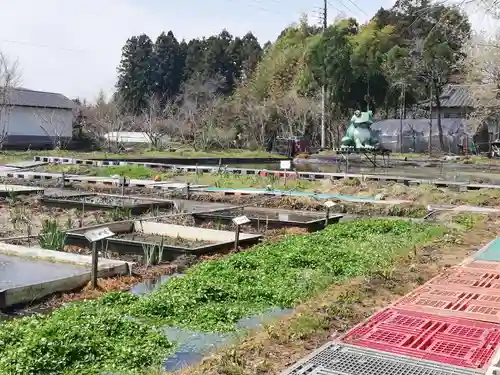 東輪寺の庭園