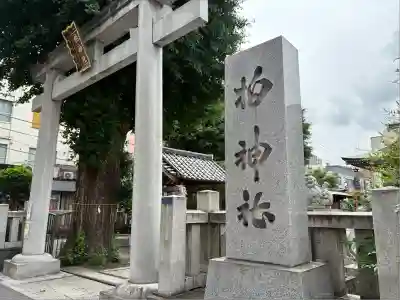 柏神社(千葉県)