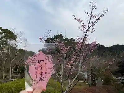 観心寺(大阪府)