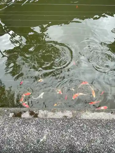 無量寺(神奈川県)