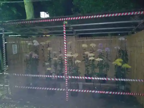 森野住吉神社(東京都)