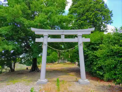 千代神社の鳥居