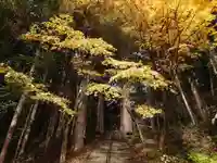 戸隠神社宝光社の自然