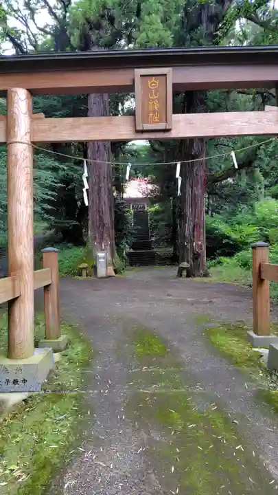 白山神社(神奈川県)