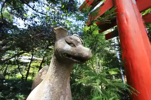 平濱八幡宮の狛犬