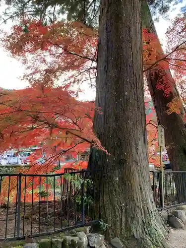 室生寺の自然