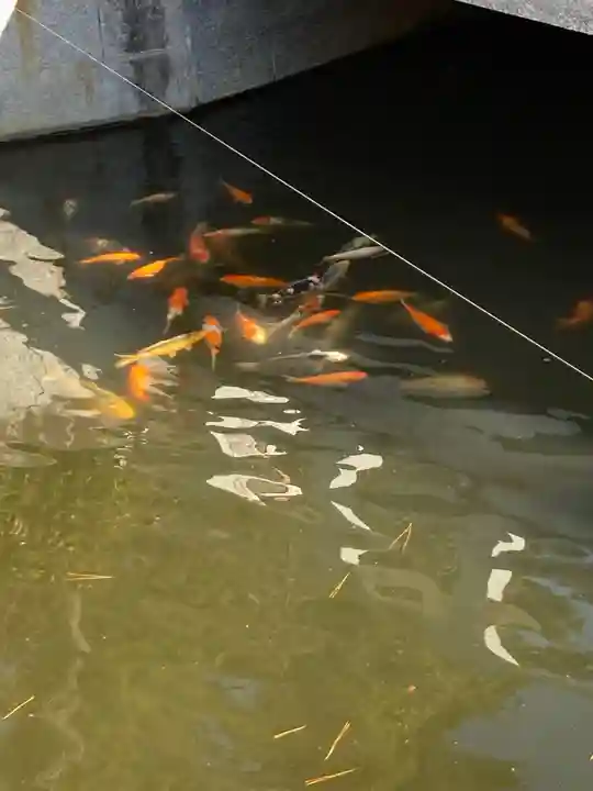 寒川神社(神奈川県)