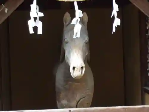 円政寺(山口県)