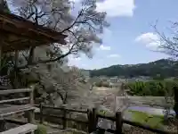堂の下の岩観音の{uncategorized: "未分類", other: "その他", undefined: "問題あり", building: "その他建物", grave: "お墓", sacred_gate: "鳥居", guardian: "狛犬", statue: "像", buddha: "仏像", history: "歴史", nature: "自然", garden: "庭園", animal: "動物", pagoda: "塔", temizu: "手水舎", mountain_gate: "山門・神門", sanctuary: "本殿・本堂", subordinate: "末社・摂社", art: "芸術", scenery: "景色", jizo: "地蔵", ema: "絵馬", goshuin: "御朱印", omikuji: "おみくじ", items: "授与品その他", amulet: "お守り", goshuincho: "御朱印帳", eats: "食事", festival: "お祭り", votive_dance: "神楽", shichigosan: "七五三参", wedding: "結婚式", experience: "体験その他", initially: "初詣", around: "周辺", anti_infection: "感染症対策"}