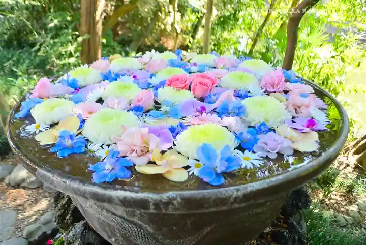 武蔵一宮氷川神社(埼玉県)