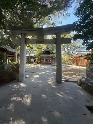 菊池神社の{uncategorized: "未分類", other: "その他", undefined: "問題あり", building: "その他建物", grave: "お墓", sacred_gate: "鳥居", guardian: "狛犬", statue: "像", buddha: "仏像", history: "歴史", nature: "自然", garden: "庭園", animal: "動物", pagoda: "塔", temizu: "手水舎", mountain_gate: "山門・神門", sanctuary: "本殿・本堂", subordinate: "末社・摂社", art: "芸術", scenery: "景色", jizo: "地蔵", ema: "絵馬", goshuin: "御朱印", omikuji: "おみくじ", items: "授与品その他", amulet: "お守り", goshuincho: "御朱印帳", eats: "食事", festival: "お祭り", votive_dance: "神楽", shichigosan: "七五三参", wedding: "結婚式", experience: "体験その他", initially: "初詣", around: "周辺", anti_infection: "感染症対策"}