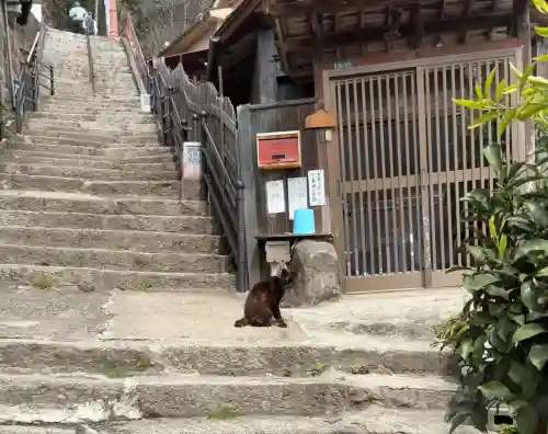 千光寺の{uncategorized: "未分類", other: "その他", undefined: "問題あり", building: "その他建物", grave: "お墓", sacred_gate: "鳥居", guardian: "狛犬", statue: "像", buddha: "仏像", history: "歴史", nature: "自然", garden: "庭園", animal: "動物", pagoda: "塔", temizu: "手水舎", mountain_gate: "山門・神門", sanctuary: "本殿・本堂", subordinate: "末社・摂社", art: "芸術", scenery: "景色", jizo: "地蔵", ema: "絵馬", goshuin: "御朱印", omikuji: "おみくじ", items: "授与品その他", amulet: "お守り", goshuincho: "御朱印帳", eats: "食事", festival: "お祭り", votive_dance: "神楽", shichigosan: "七五三参", wedding: "結婚式", experience: "体験その他", initially: "初詣", around: "周辺", anti_infection: "感染症対策"}