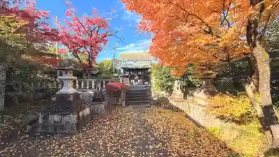 鸕鷀神社(京都府)