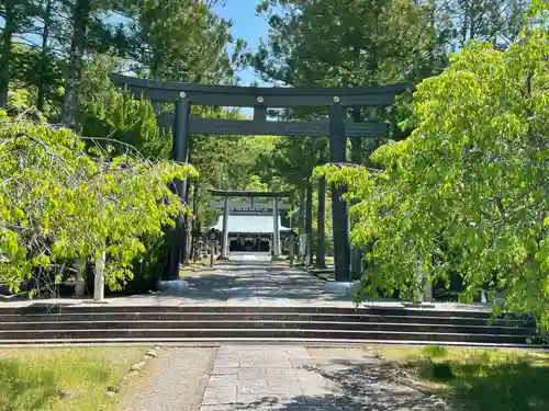 山梨縣護國神社の鳥居